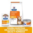 Hill's Prescription Diet Urinary Care Frango saqueta para gatos, , large image number null